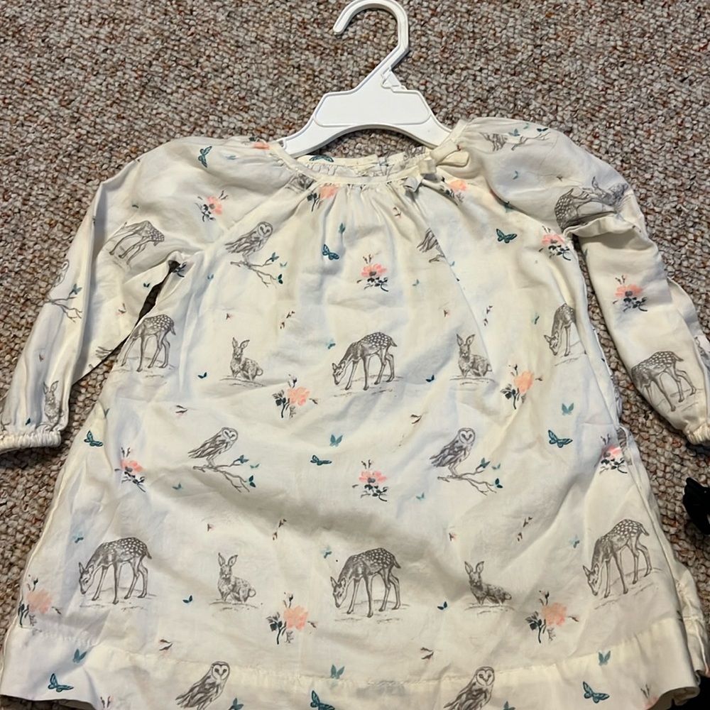 Baby gap dress